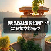 钾肥后期走势如何？供需双紧支撑高位（图2）