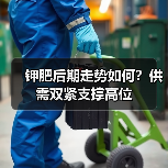 钾肥后期走势如何？供需双紧支撑高位（图4）