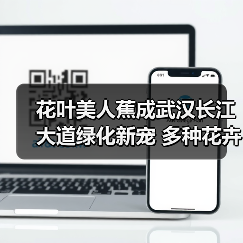 花叶美人蕉成武汉长江大道绿化新宠 多种花卉提升城市颜值（图1）