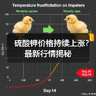 硫酸钾价格持续上涨?最新行情揭秘(图2) 硫酸钾价格持续上涨?最新行情揭秘(图2)