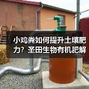 小鸡粪如何提升土壤肥力？圣田生物有机肥解决方案揭秘（图1）
