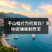 干山楂片为何发白?揭秘硫磺熏制危害(图3) 干山楂片为何发白?揭秘硫磺熏制危害(图3)