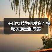 干山楂片为何发白?揭秘硫磺熏制危害(图4) 干山楂片为何发白?揭秘硫磺熏制危害(图4)