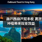 葫芦西葫芦双丰收 高效种植带来双重效益(图1) 葫芦西葫芦双丰收 高效种植带来双重效益(图1)