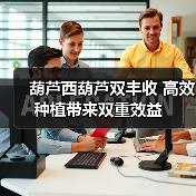 葫芦西葫芦双丰收 高效种植带来双重效益(图3) 葫芦西葫芦双丰收 高效种植带来双重效益(图3)