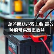 葫芦西葫芦双丰收 高效种植带来双重效益(图4) 葫芦西葫芦双丰收 高效种植带来双重效益(图4)