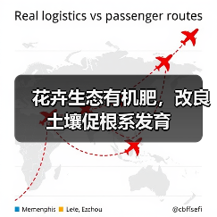 花卉生态有机肥，改良土壤促根系发育（图1）