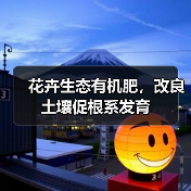 花卉生态有机肥，改良土壤促根系发育（图2）
