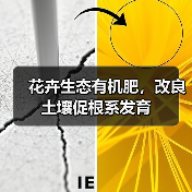 花卉生态有机肥，改良土壤促根系发育（图4）