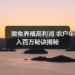 獭兔养殖高利润 农户年入百万秘诀揭秘(图1) 獭兔养殖高利润 农户年入百万秘诀揭秘(图1)
