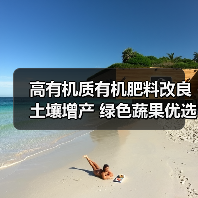 高有机质有机肥料改良土壤增产 绿色蔬果优选（图3）