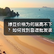 绿豆价格为何居高不下?如何找到靠谱批发渠道(图2) 绿豆价格为何居高不下?如何找到靠谱批发渠道(图2)