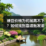 绿豆价格为何居高不下?如何找到靠谱批发渠道(图3) 绿豆价格为何居高不下?如何找到靠谱批发渠道(图3)