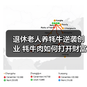 退休老人养牦牛逆袭创业 牦牛肉如何打开财富新路径?(图4) 退休老人养牦牛逆袭创业 牦牛肉如何打开财富新路径?(图4)