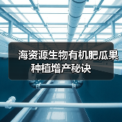 海资源生物有机肥瓜果种植增产秘诀（图3）