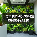 复合肥价格为何难降?原料高企成主因(图3) 复合肥价格为何难降?原料高企成主因(图3)