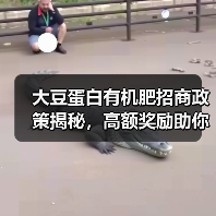 大豆蛋白有机肥招商政策揭秘，高额奖励助你成功（图1）