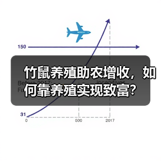 竹鼠养殖助农增收,如何靠养殖实现致富?(图2) 竹鼠养殖助农增收,如何靠养殖实现致富?(图2)