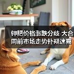 钾肥价格涨跌分歧 大合同前市场走势扑朔迷离(图2) 钾肥价格涨跌分歧 大合同前市场走势扑朔迷离(图2)