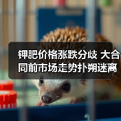 钾肥价格涨跌分歧 大合同前市场走势扑朔迷离(图3) 钾肥价格涨跌分歧 大合同前市场走势扑朔迷离(图3)