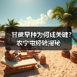 甘蔗早种为何成关键?农宁屯经验揭秘(图2) 甘蔗早种为何成关键?农宁屯经验揭秘(图2)