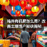 鸡粪有机肥怎么用？改善土壤增产秘诀揭秘（图3）