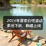 2024年尿素价格波动:多地下调,新疆上调(图3) 2024年尿素价格波动:多地下调,新疆上调(图3)