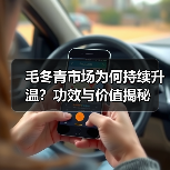 毛冬青市场为何持续升温?功效与价值揭秘(图2) 毛冬青市场为何持续升温?功效与价值揭秘(图2)