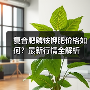 复合肥磷铵钾肥价格如何？最新行情全解析（图2）
