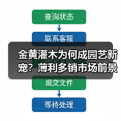 金黄灌木为何成园艺新宠？薄利多销市场前景广阔（图3）
