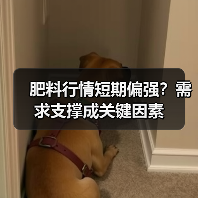 肥料行情短期偏强?需求支撑成关键因素(图3) 肥料行情短期偏强?需求支撑成关键因素(图3)