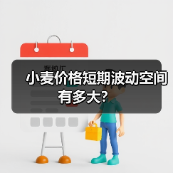 小麦价格短期波动空间有多大?(图1) 小麦价格短期波动空间有多大?(图1)