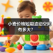 小麦价格短期波动空间有多大?(图3) 小麦价格短期波动空间有多大?(图3)