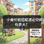 小麦价格短期波动空间有多大?(图4) 小麦价格短期波动空间有多大?(图4)