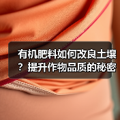 有机肥料如何改良土壤？提升作物品质的秘密（图1）