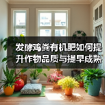 发酵鸡粪有机肥如何提升作物品质与提早成熟？（图1）