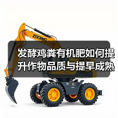 发酵鸡粪有机肥如何提升作物品质与提早成熟？（图4）