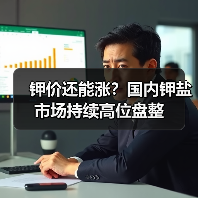 钾价还能涨?国内钾盐市场持续高位盘整(图2) 钾价还能涨?国内钾盐市场持续高位盘整(图2)