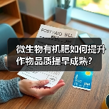 微生物有机肥如何提升作物品质提早成熟？（图2）