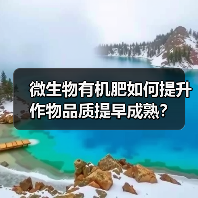 微生物有机肥如何提升作物品质提早成熟？（图3）
