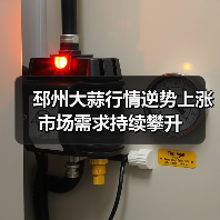 邳州大蒜行情逆势上涨 市场需求持续攀升(图1) 邳州大蒜行情逆势上涨 市场需求持续攀升(图1)