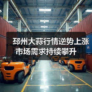 邳州大蒜行情逆势上涨 市场需求持续攀升(图3) 邳州大蒜行情逆势上涨 市场需求持续攀升(图3)