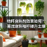 秸秆腐熟剂效果如何？高效腐熟秸秆提升土壤肥力（图1）