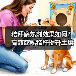 秸秆腐熟剂效果如何？高效腐熟秸秆提升土壤肥力（图4）