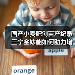国产小麦肥创亩产纪录 三宁金钛能如何助力增产?(图2) 国产小麦肥创亩产纪录 三宁金钛能如何助力增产?(图2)