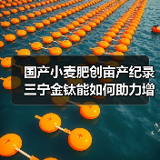 国产小麦肥创亩产纪录 三宁金钛能如何助力增产?(图3) 国产小麦肥创亩产纪录 三宁金钛能如何助力增产?(图3)