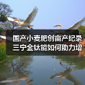国产小麦肥创亩产纪录 三宁金钛能如何助力增产?(图4) 国产小麦肥创亩产纪录 三宁金钛能如何助力增产?(图4)