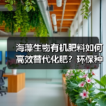 海藻生物有机肥料如何高效替代化肥？环保种植新选择（图2）