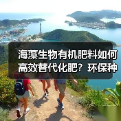 海藻生物有机肥料如何高效替代化肥？环保种植新选择（图3）