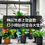 种花生走上致富路:小打小闹如何变身大生意?(图1) 种花生走上致富路:小打小闹如何变身大生意?(图1)